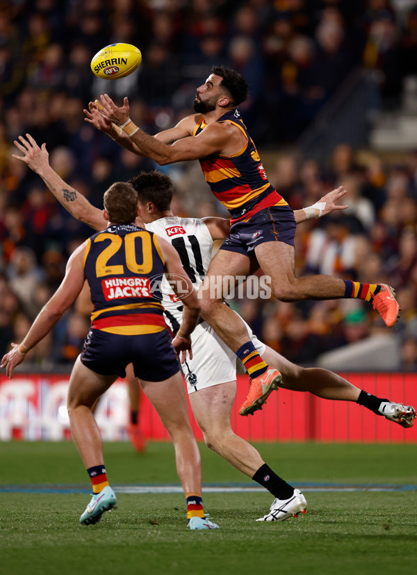 AFL 2025 First Qualifying Final - Adelaide v Collingwood - A-62216040