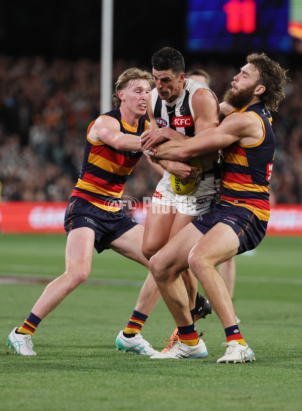 AFL 2025 First Qualifying Final - Adelaide v Collingwood - A-62216067