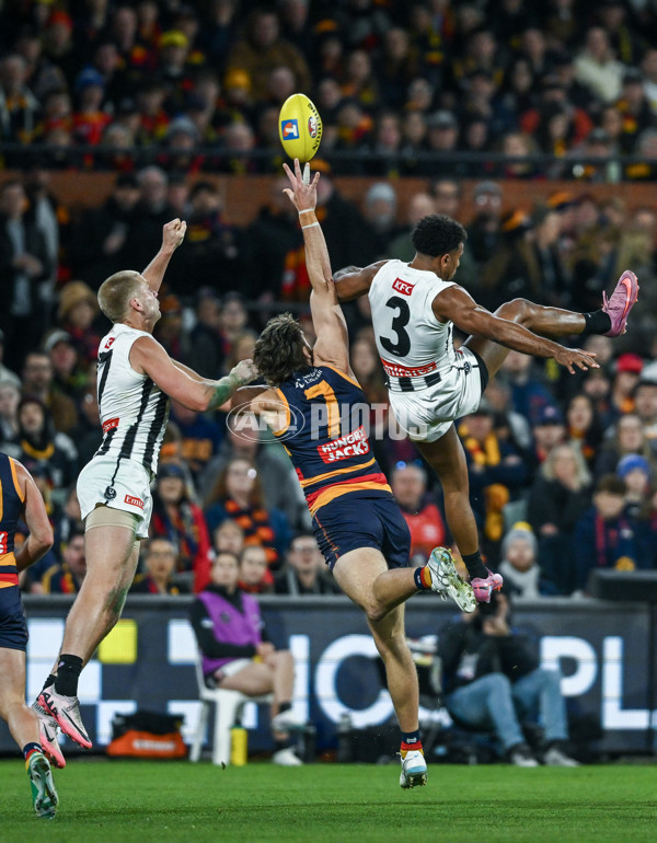 AFL 2025 First Qualifying Final - Adelaide v Collingwood - A-62216086