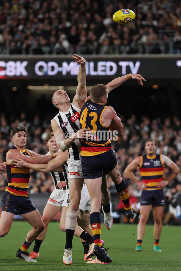 AFL 2025 First Qualifying Final - Adelaide v Collingwood - A-62217742