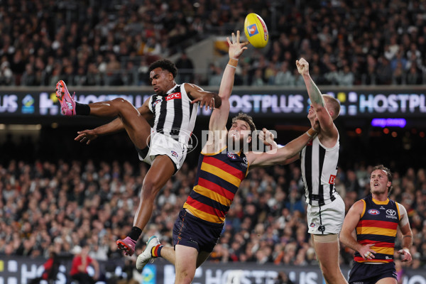 AFL 2025 First Qualifying Final - Adelaide v Collingwood - A-62217744