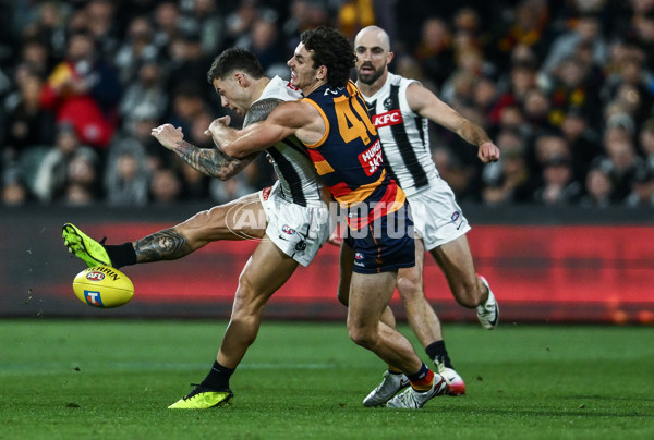 AFL 2025 First Qualifying Final - Adelaide v Collingwood - A-62217764