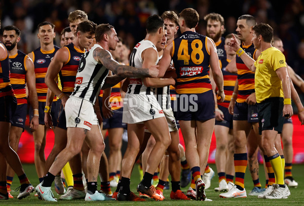 AFL 2025 First Qualifying Final - Adelaide v Collingwood - A-62217778