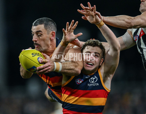 AFL 2025 First Qualifying Final - Adelaide v Collingwood - A-62217786