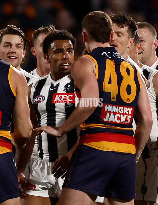 AFL 2025 First Qualifying Final - Adelaide v Collingwood - A-62217789
