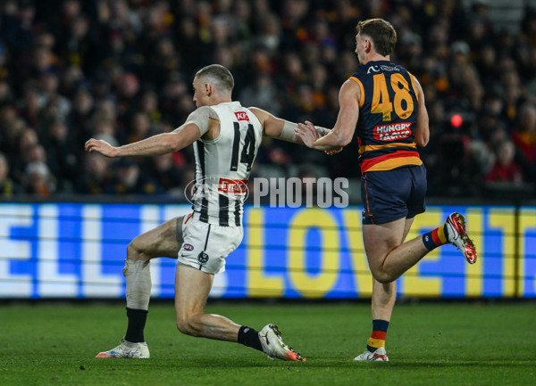 AFL 2025 First Qualifying Final - Adelaide v Collingwood - A-62217793