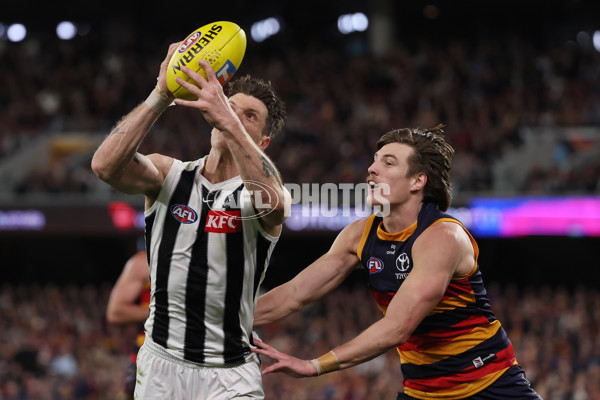 AFL 2025 First Qualifying Final - Adelaide v Collingwood - A-62217798