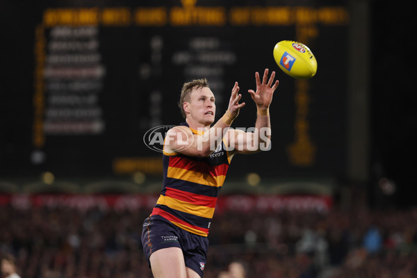 AFL 2025 First Qualifying Final - Adelaide v Collingwood - A-62217806