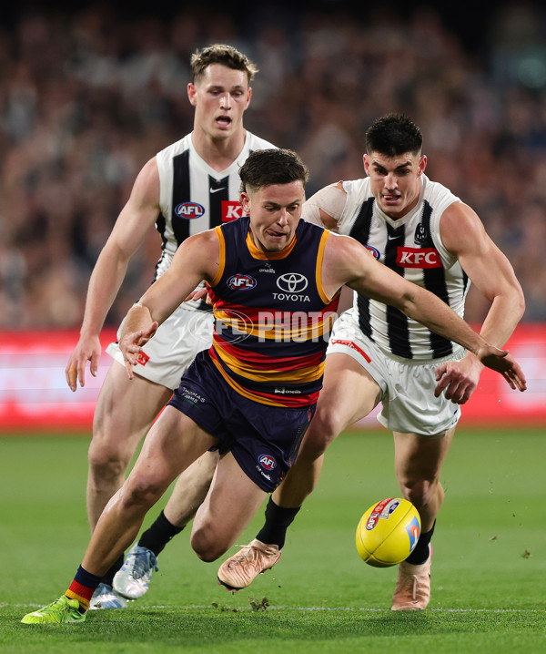 AFL 2025 First Qualifying Final - Adelaide v Collingwood - A-62217809