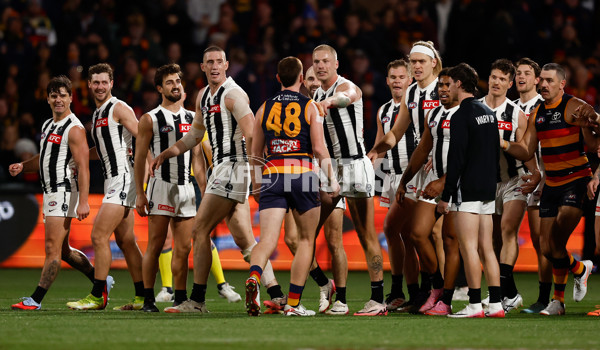 AFL 2025 First Qualifying Final - Adelaide v Collingwood - A-62218395