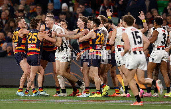 AFL 2025 First Qualifying Final - Adelaide v Collingwood - A-62218396