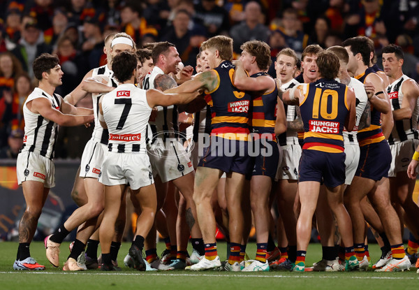AFL 2025 First Qualifying Final - Adelaide v Collingwood - A-62218401