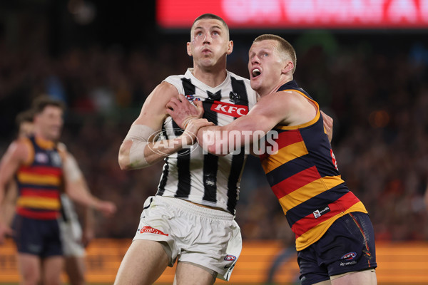 AFL 2025 First Qualifying Final - Adelaide v Collingwood - A-62218416