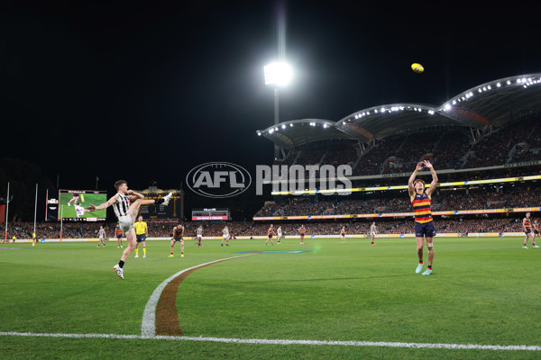AFL 2025 First Qualifying Final - Adelaide v Collingwood - A-62218422