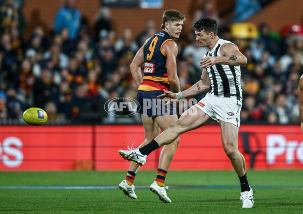 AFL 2025 First Qualifying Final - Adelaide v Collingwood - A-62220254