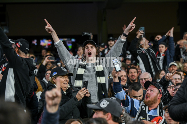 AFL 2025 First Qualifying Final - Adelaide v Collingwood - A-62220292
