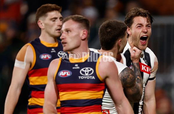 AFL 2025 First Qualifying Final - Adelaide v Collingwood - A-62220327