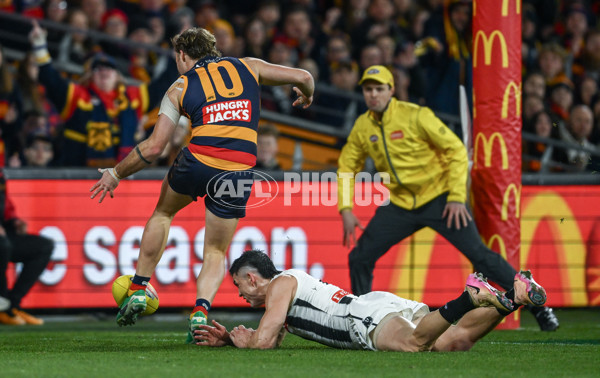 AFL 2025 First Qualifying Final - Adelaide v Collingwood - A-62220332