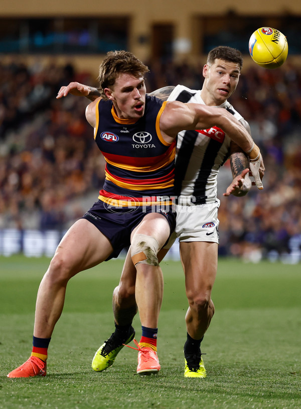 AFL 2025 First Qualifying Final - Adelaide v Collingwood - A-62220338