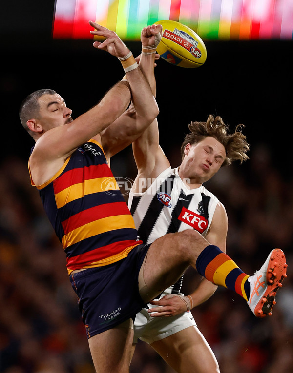 AFL 2025 First Qualifying Final - Adelaide v Collingwood - A-62220339