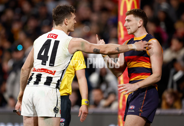 AFL 2025 First Qualifying Final - Adelaide v Collingwood - A-62220755