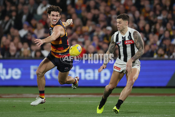 AFL 2025 First Qualifying Final - Adelaide v Collingwood - A-62220791