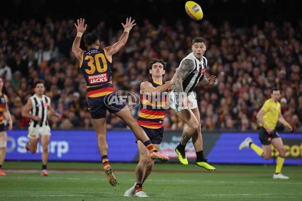 AFL 2025 First Qualifying Final - Adelaide v Collingwood - A-62220792