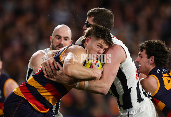 AFL 2025 First Qualifying Final - Adelaide v Collingwood - A-62220814