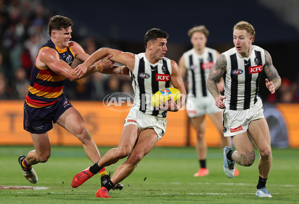 AFL 2025 First Qualifying Final - Adelaide v Collingwood - A-62220825