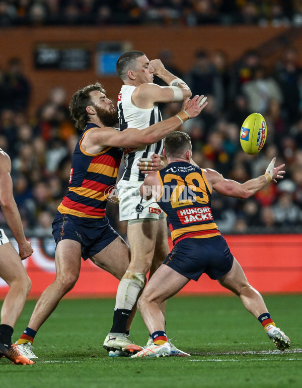 AFL 2025 First Qualifying Final - Adelaide v Collingwood - A-62220838