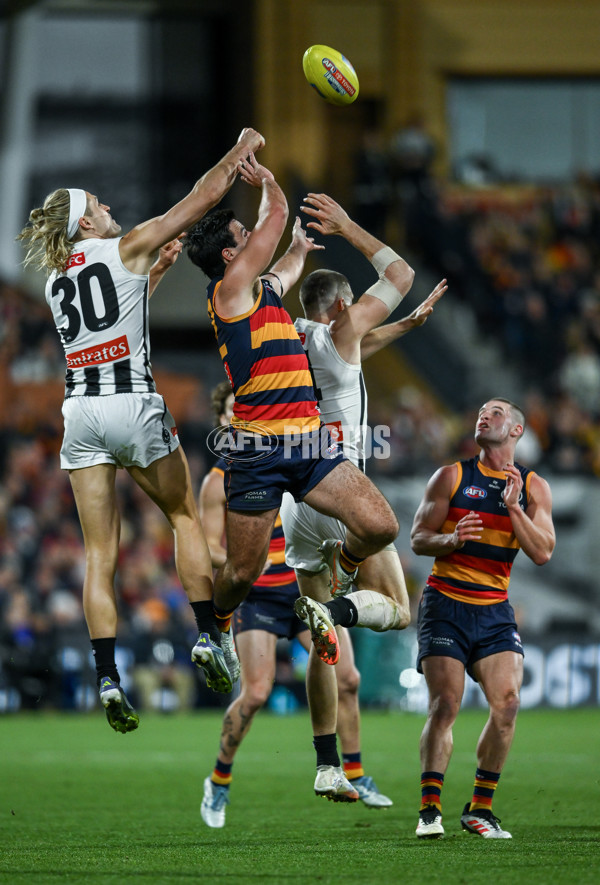 AFL 2025 First Qualifying Final - Adelaide v Collingwood - A-62220840