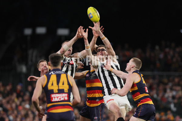 AFL 2025 First Qualifying Final - Adelaide v Collingwood - A-62222568