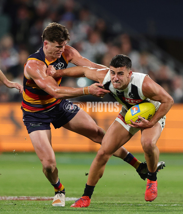 AFL 2025 First Qualifying Final - Adelaide v Collingwood - A-62222577