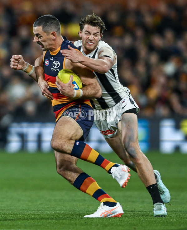 AFL 2025 First Qualifying Final - Adelaide v Collingwood - A-62222586