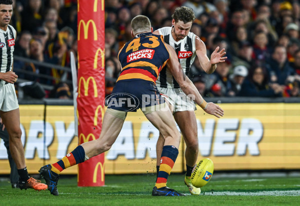 AFL 2025 First Qualifying Final - Adelaide v Collingwood - A-62222604