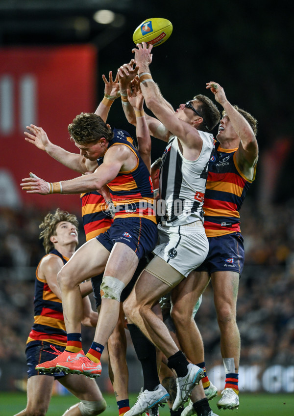 AFL 2025 First Qualifying Final - Adelaide v Collingwood - A-62223172
