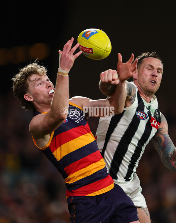 AFL 2025 First Qualifying Final - Adelaide v Collingwood - A-62223199