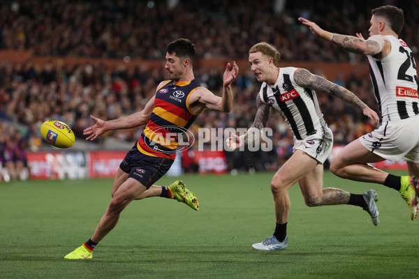 AFL 2025 First Qualifying Final - Adelaide v Collingwood - A-62223204