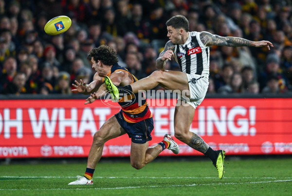 AFL 2025 First Qualifying Final - Adelaide v Collingwood - A-62223264