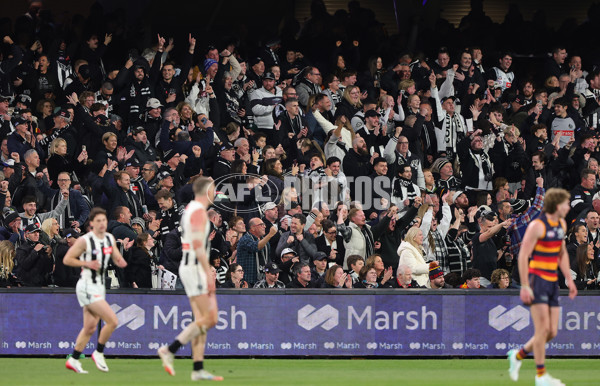 AFL 2025 First Qualifying Final - Adelaide v Collingwood - A-62223269