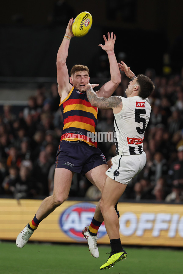 AFL 2025 First Qualifying Final - Adelaide v Collingwood - A-62225197