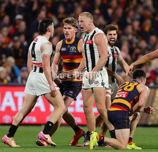 AFL 2025 First Qualifying Final - Adelaide v Collingwood - A-62225206