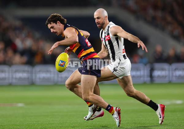 AFL 2025 First Qualifying Final - Adelaide v Collingwood - A-62228565