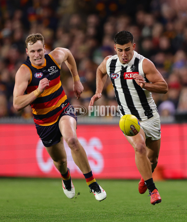 AFL 2025 First Qualifying Final - Adelaide v Collingwood - A-62228598