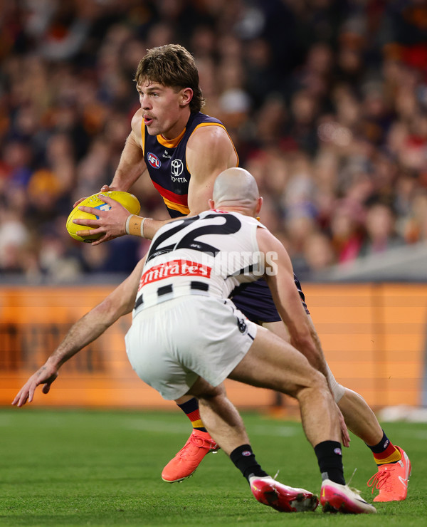 AFL 2025 First Qualifying Final - Adelaide v Collingwood - A-62228604