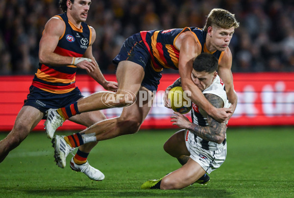 AFL 2025 First Qualifying Final - Adelaide v Collingwood - A-62228605