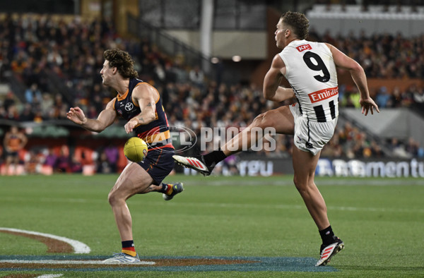 AFL 2025 First Qualifying Final - Adelaide v Collingwood - A-62228609