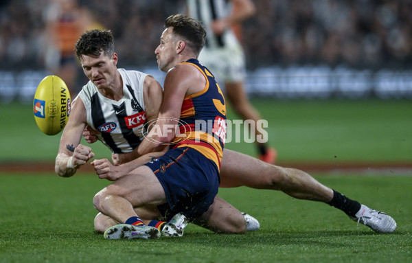 AFL 2025 First Qualifying Final - Adelaide v Collingwood - A-62228617