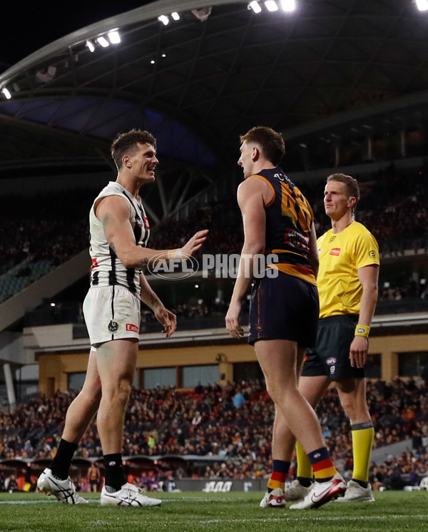 AFL 2025 First Qualifying Final - Adelaide v Collingwood - A-62229436