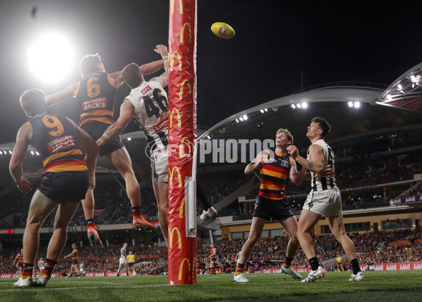 AFL 2025 First Qualifying Final - Adelaide v Collingwood - A-62229439
